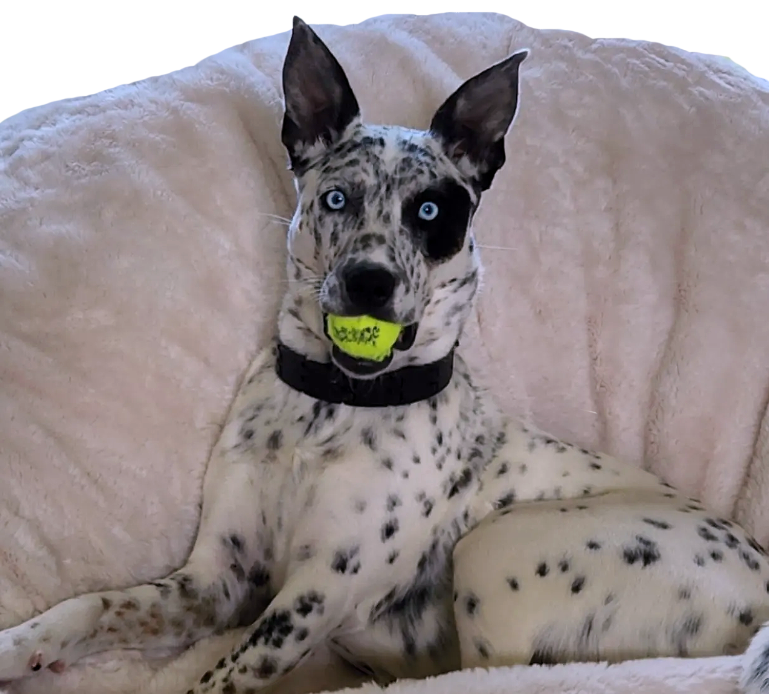 Starla on the Woodbine Accounting Services 404 page.